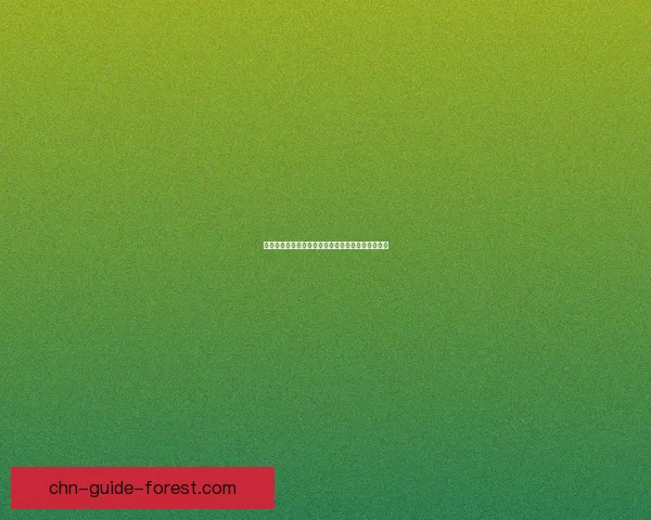 女漫游刷图加点指南完美搭配技巧提升战力全面解析