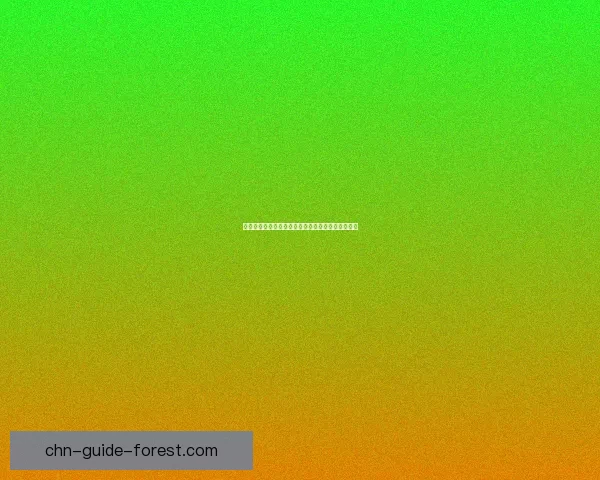 掠食流程全解析从入门到精通的详细攻略与技巧分享